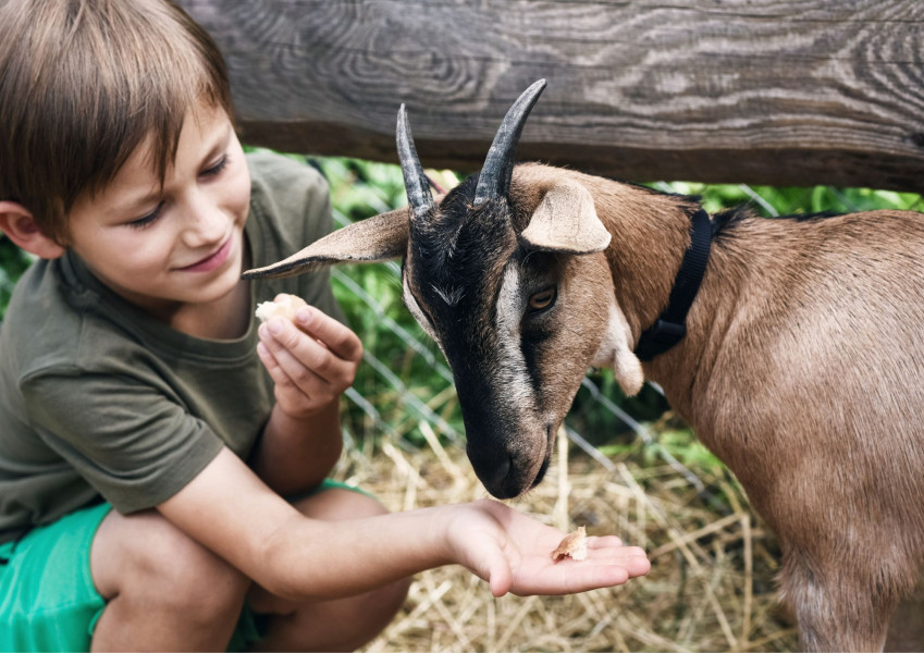 Podzimky na farmě v Oldřichově 29/10 2025