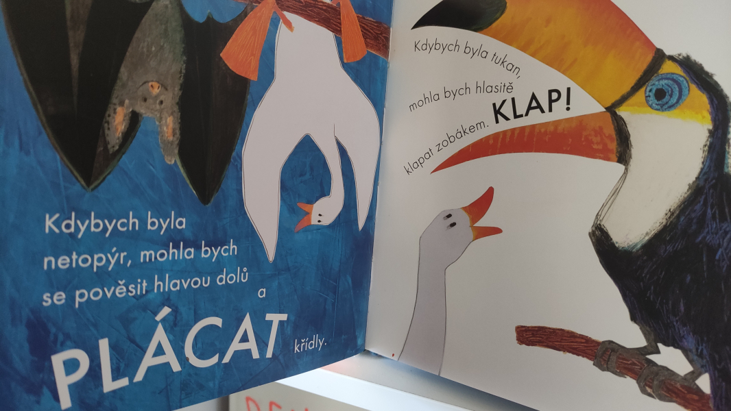 Nové hraní na hřišti s husou Lízou