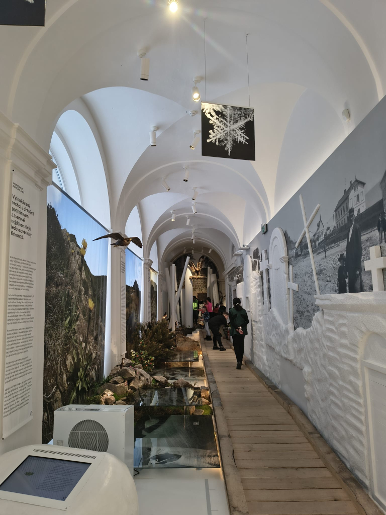 WhatsApp Image 2026-01-30 at 20.30.04 (3).jpeg