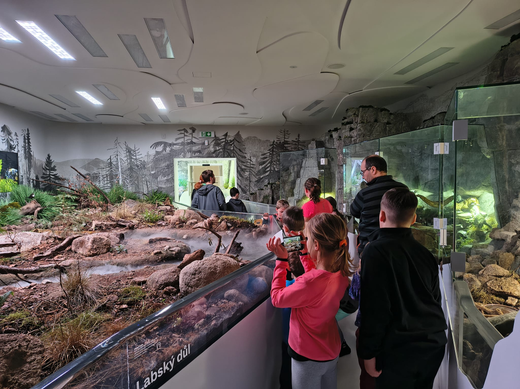 WhatsApp Image 2026-01-30 at 20.30.04 (1).jpeg