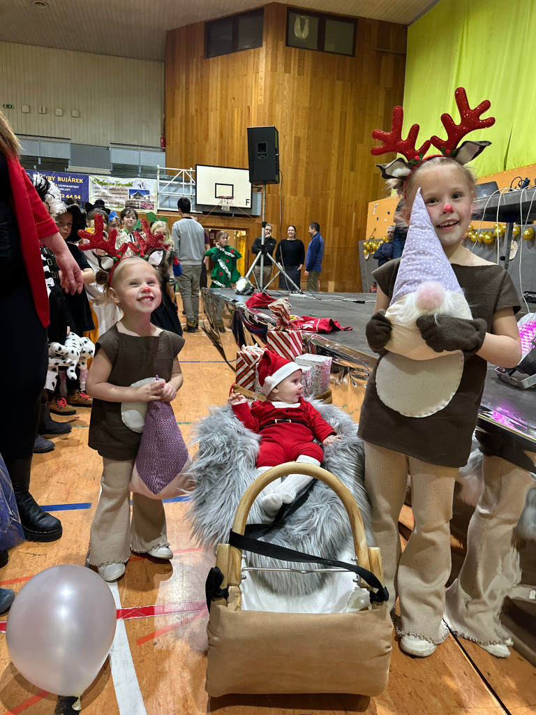 svč Tavnald karneval4.jpeg