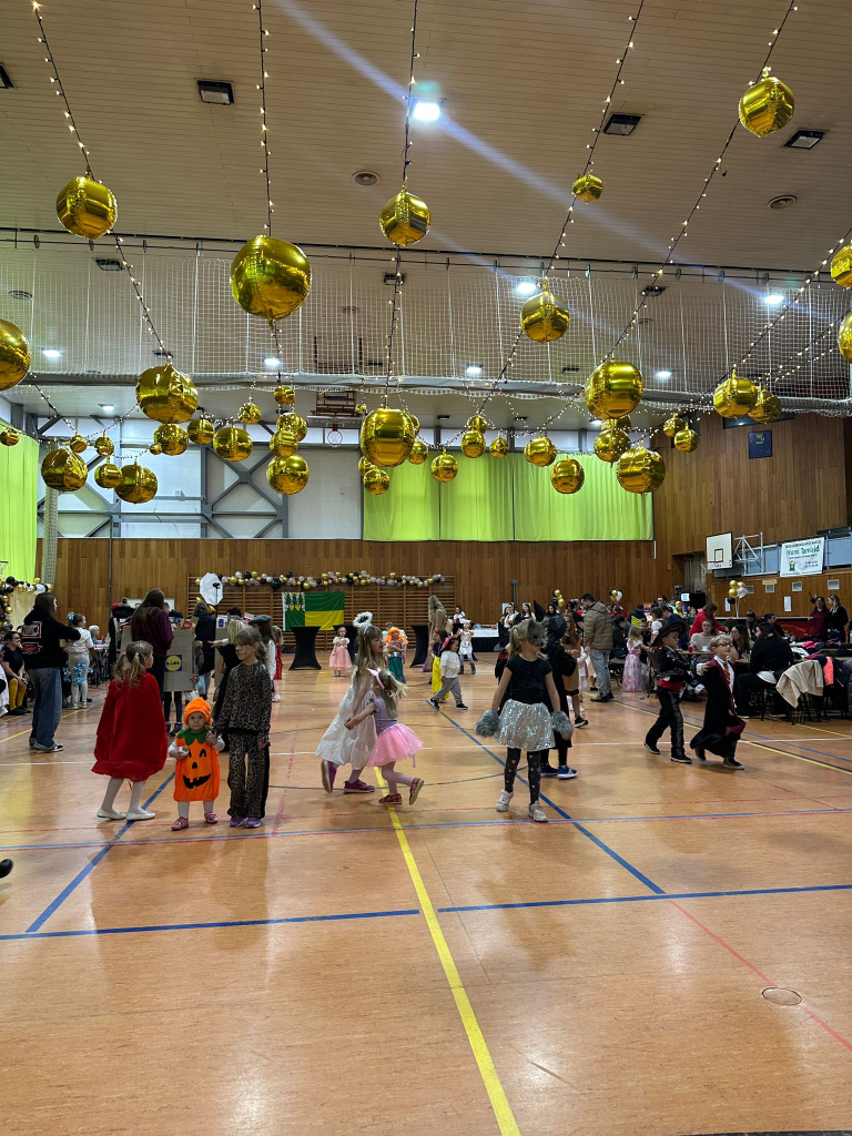 WhatsApp Image 2026-02-08 at 20.11.47.jpeg