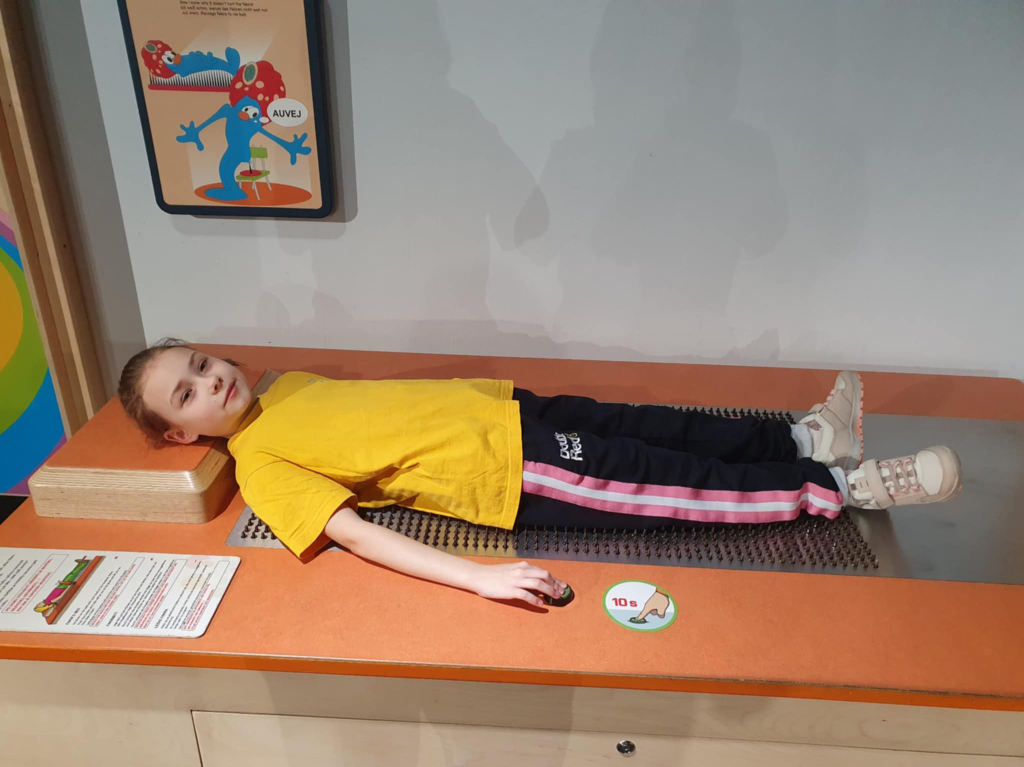 1c8ff78f-8d40-443c-adae-c35042f504a3.jfif