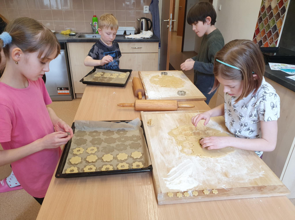 6a2c95dd-b78f-4b66-a586-a9c0cf6d4e51.jfif