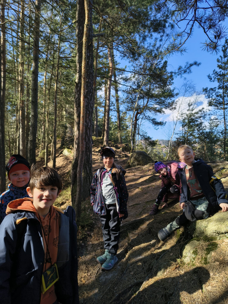 WhatsApp Image 2026-03-13 at 15.53.10.jpeg