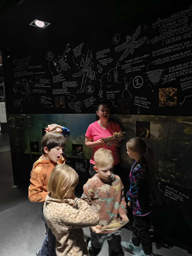 WhatsApp Image 2026-03-13 at 15.53.09 (4).jpeg