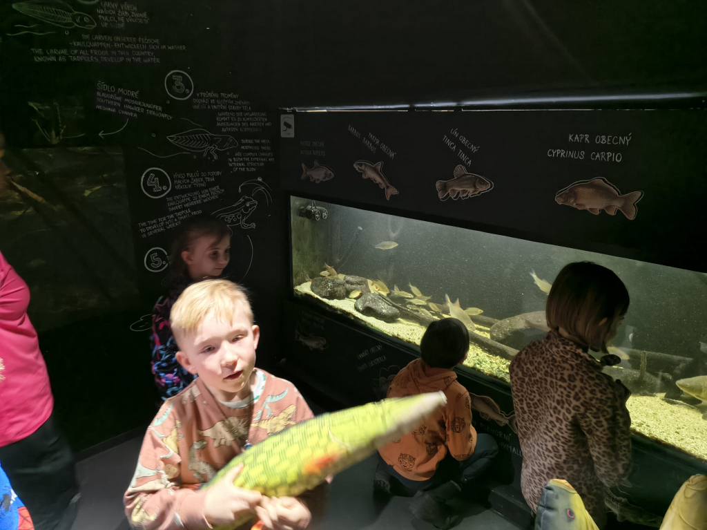 WhatsApp Image 2026-03-13 at 15.53.09 (3).jpeg