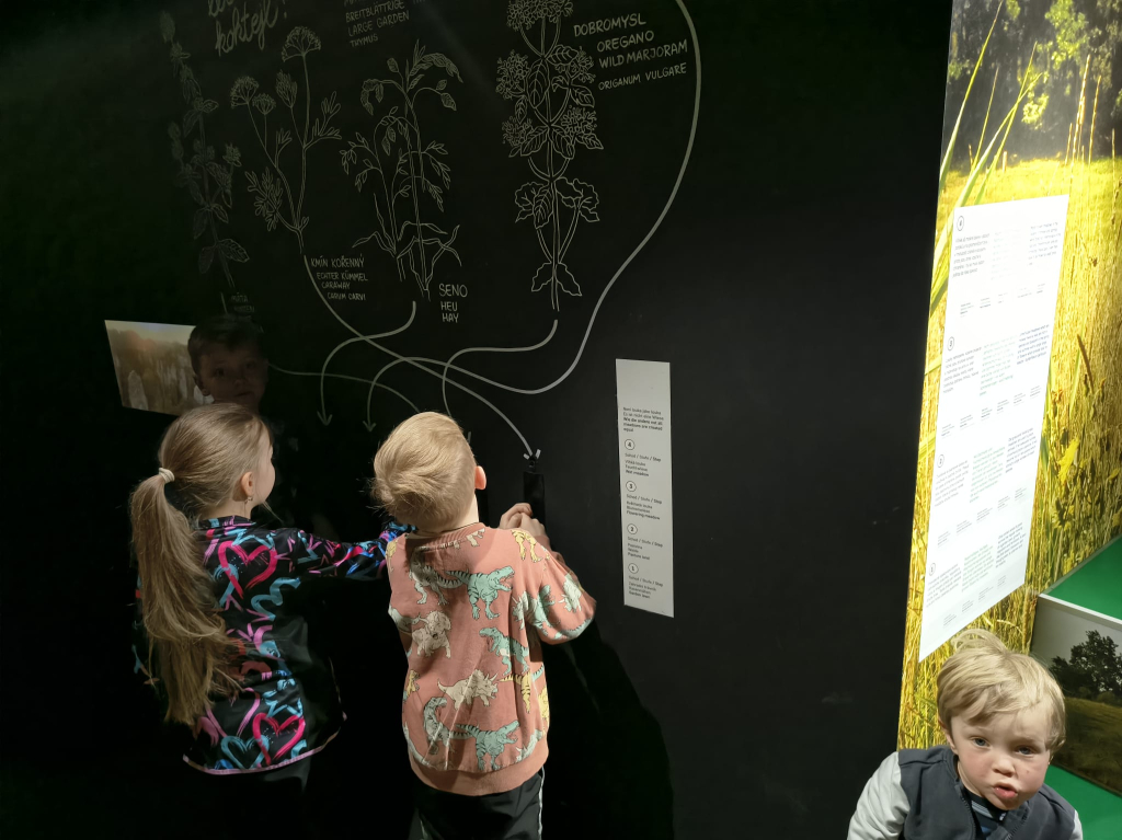 WhatsApp Image 2026-03-13 at 15.53.09 (2).jpeg