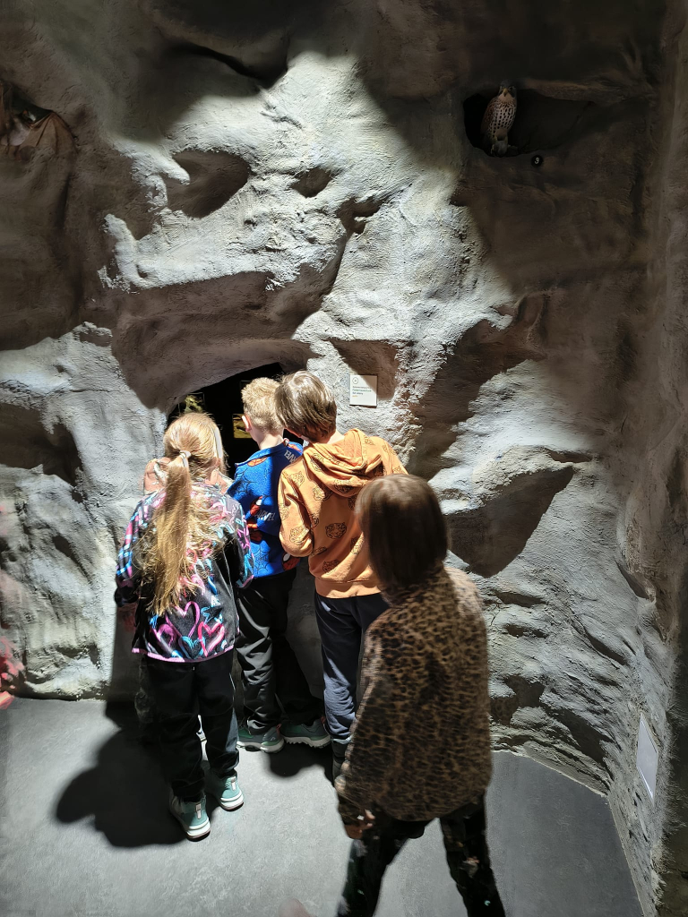 WhatsApp Image 2026-03-13 at 15.53.09.jpeg