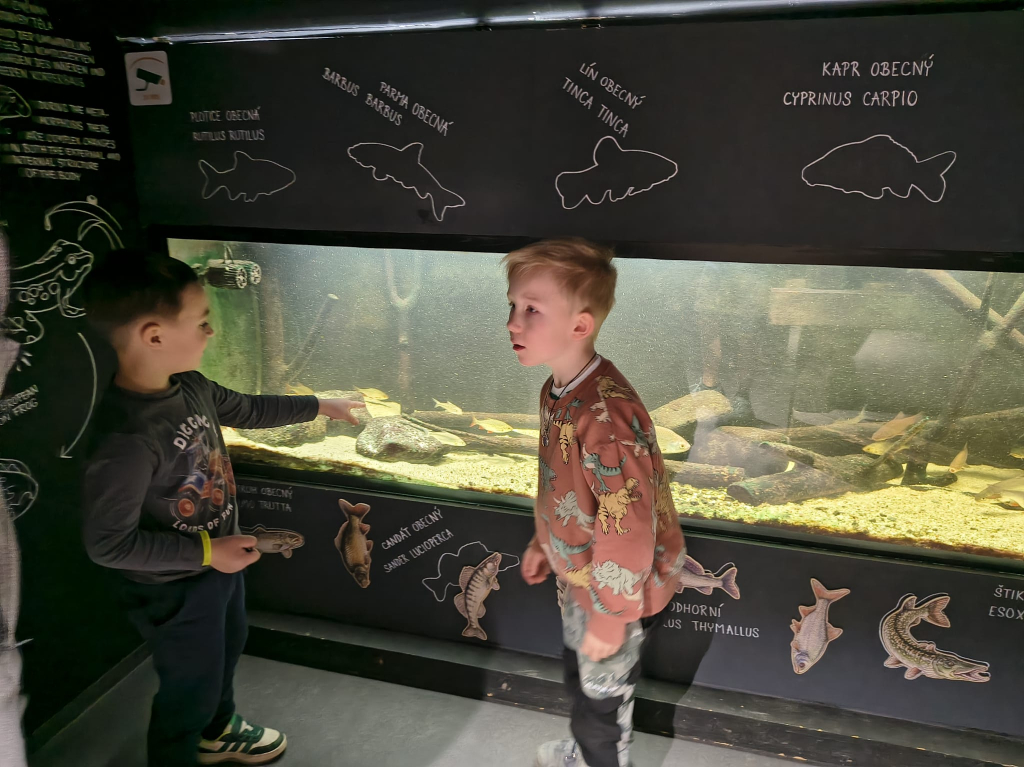 WhatsApp Image 2026-03-13 at 15.53.03 (4).jpeg