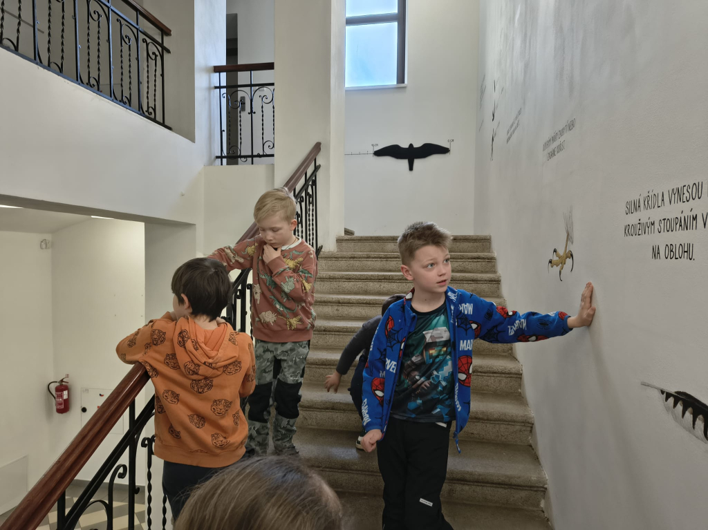 WhatsApp Image 2026-03-13 at 15.53.03 (3).jpeg