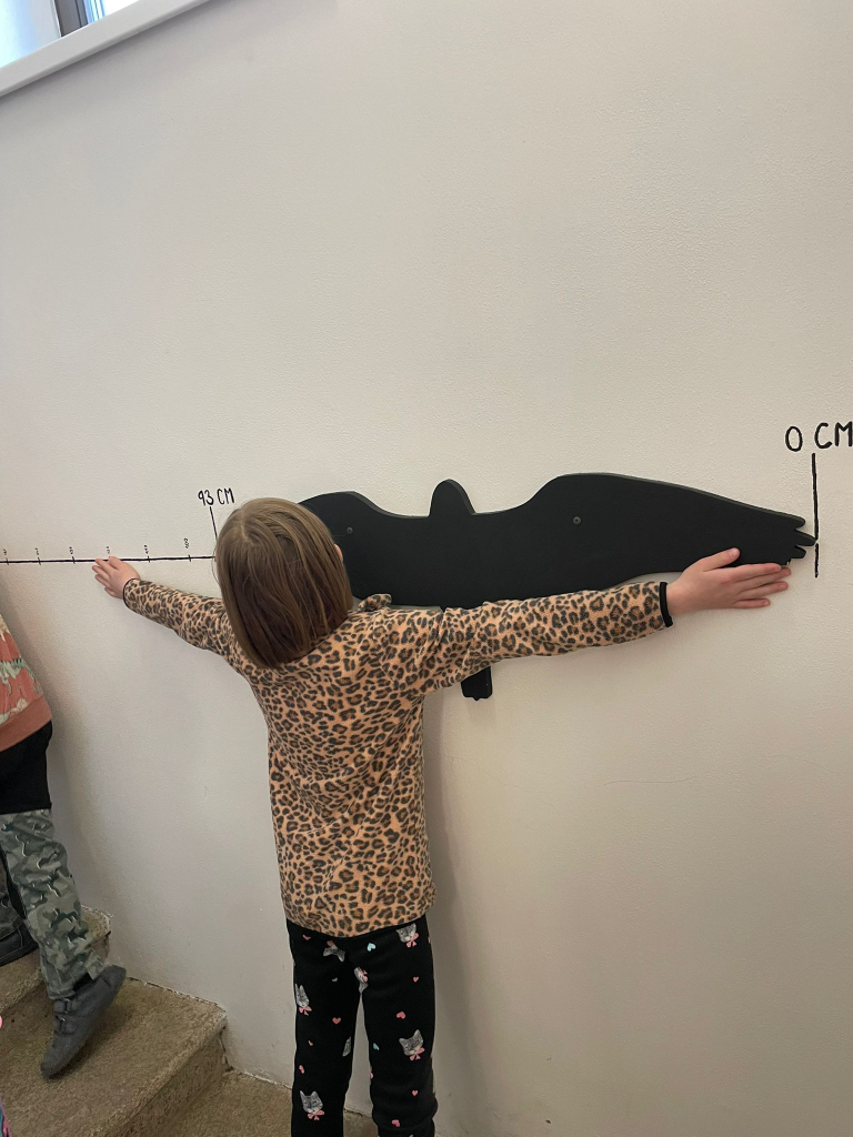 WhatsApp Image 2026-03-13 at 19.12.52.jpeg