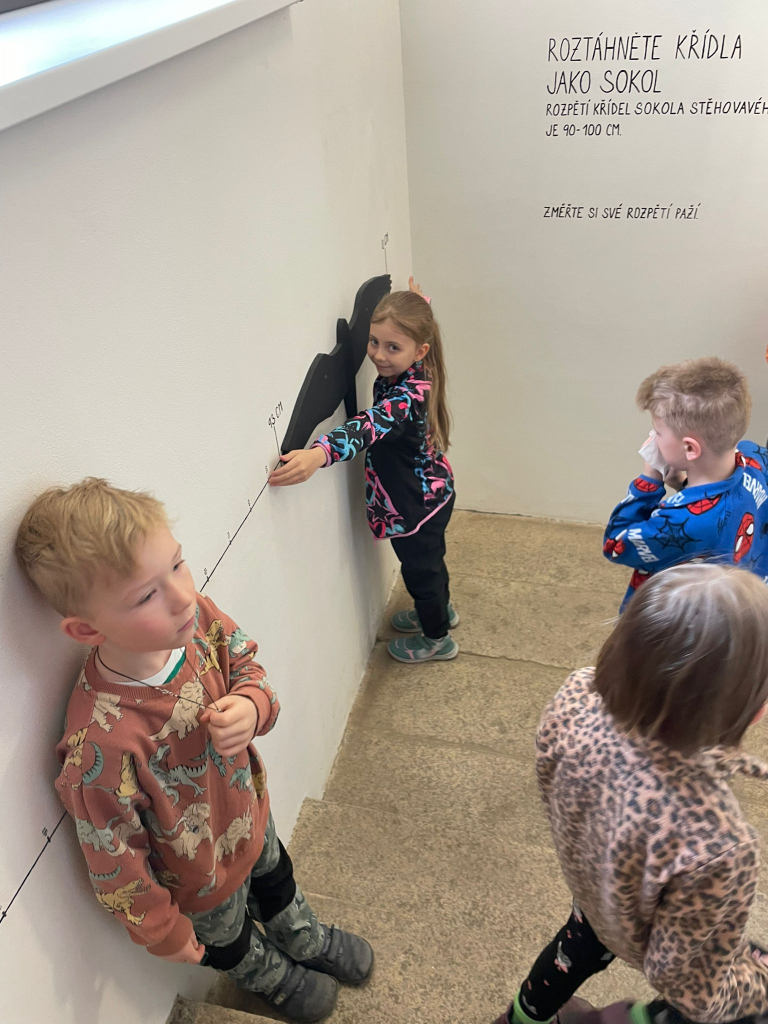 WhatsApp Image 2026-03-13 at 19.12.51 (2).jpeg