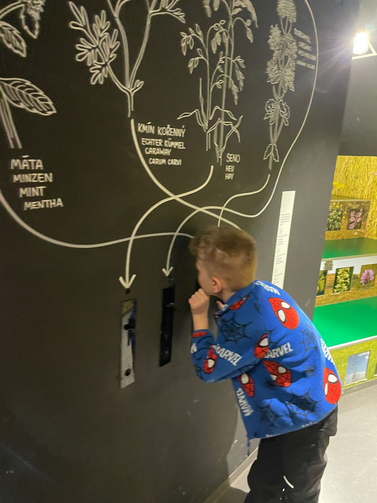 WhatsApp Image 2026-03-13 at 19.12.51.jpeg