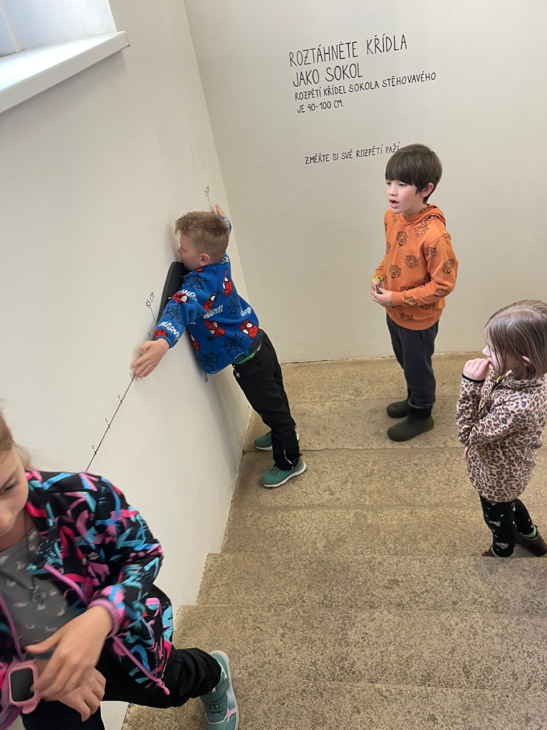 WhatsApp Image 2026-03-13 at 19.12.51 (1).jpeg