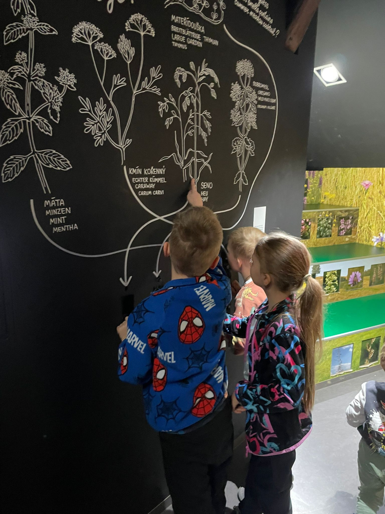 WhatsApp Image 2026-03-13 at 19.12.49 (2).jpeg