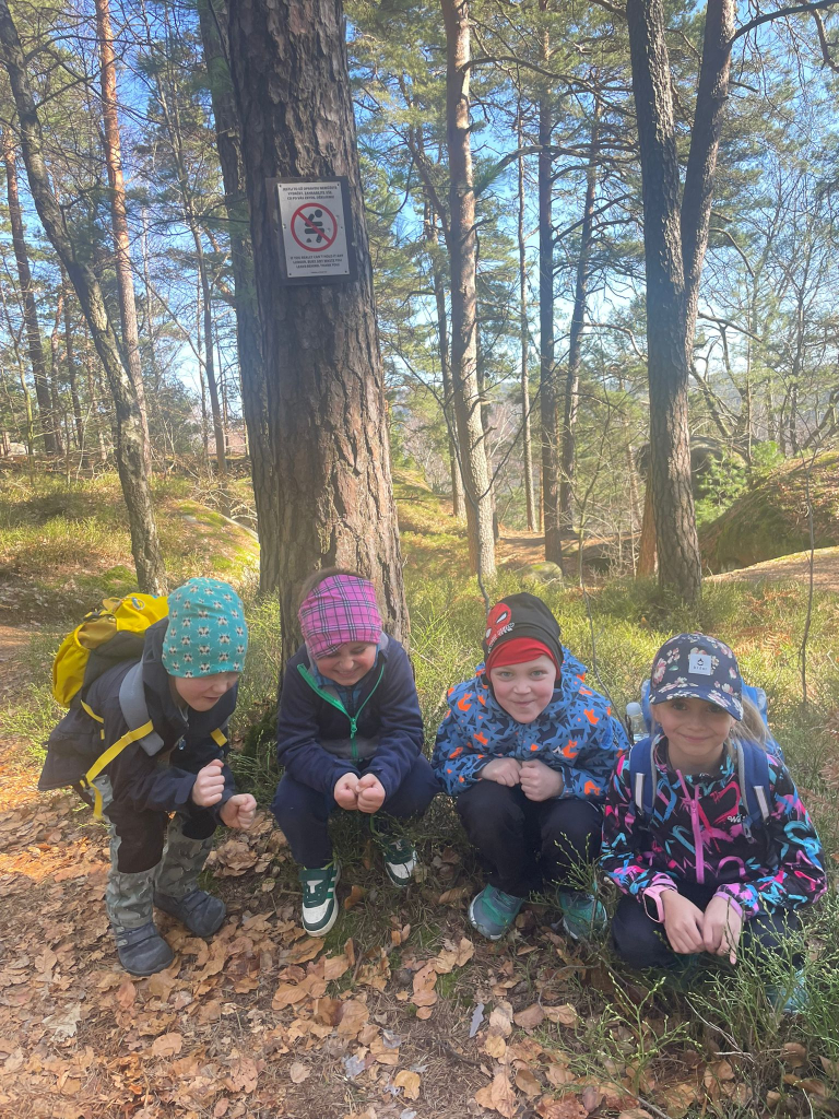 WhatsApp Image 2026-03-13 at 19.12.48.jpeg