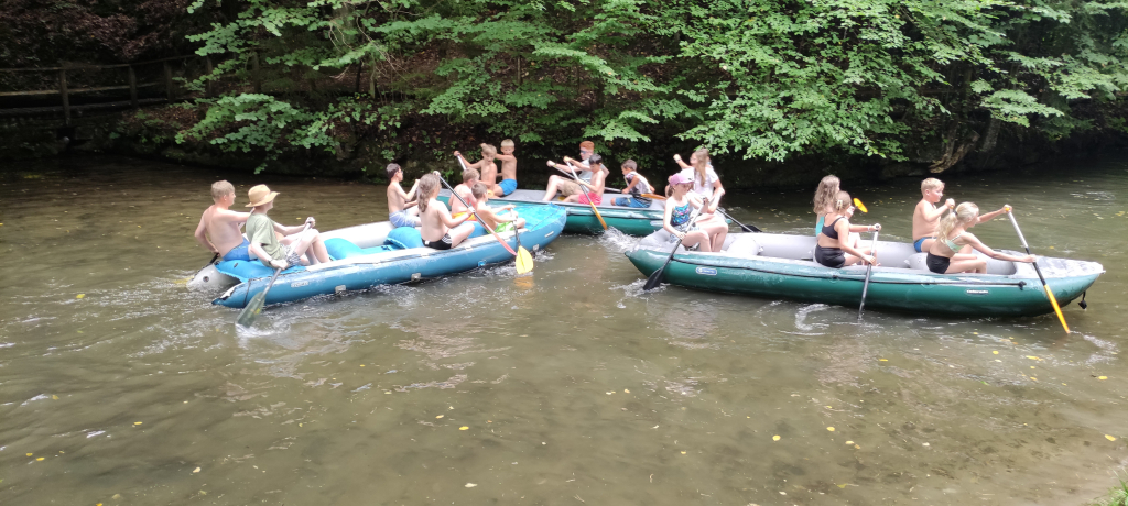 IMG_20260820_140242.jpg