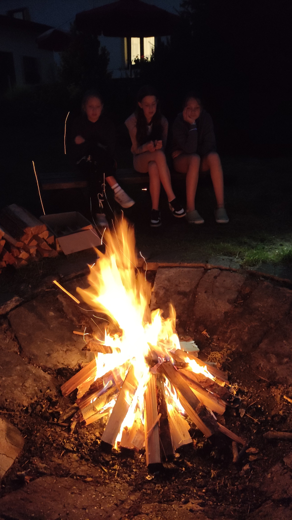 IMG_20260820_204430.jpg