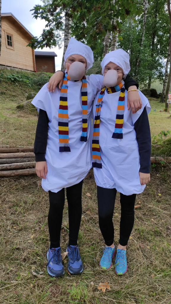 IMG_20260912_134935.jpg