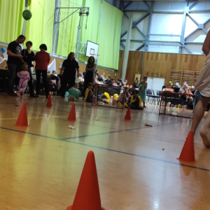 IMG_20250126_163629.jpg