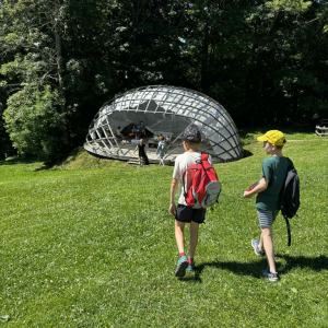 0d683083-c583-48f7-9b50-9527373870c5.jpg