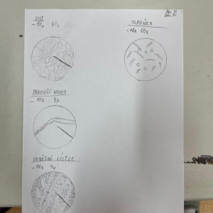 WhatsApp Image 2025-07-09 at 15.48.14 (4).jpeg