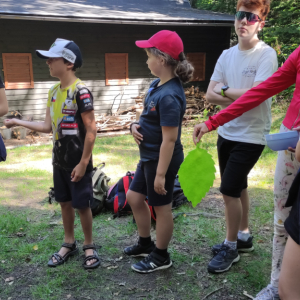 IMG_20250819_110706.jpg