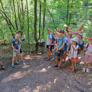 English Summer Camp II 2026