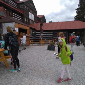 IMG_20190709_145351.jpg