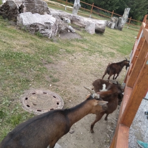 IMG_20190709_145733.jpg
