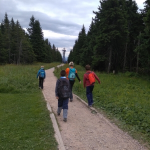 IMG_20190709_160438.jpg