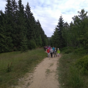 IMG_20190709_173345.jpg