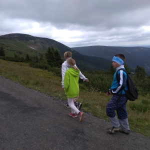 IMG_20190710_105520.jpg