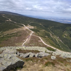 IMG_20190710_130533.jpg