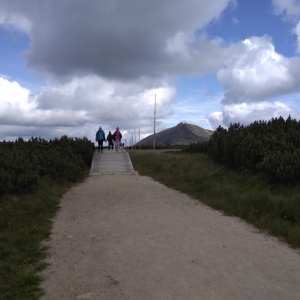 IMG_20190710_144126.jpg
