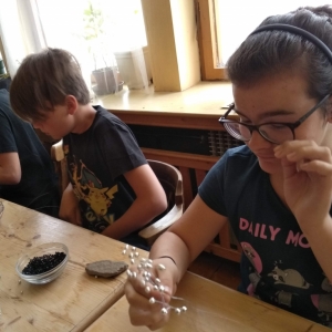 IMG_20190712_102932.jpg