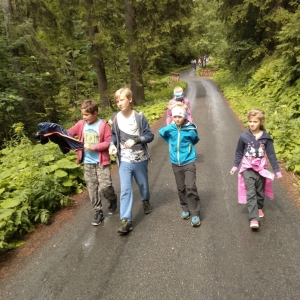 IMG_20190712_150306.jpg