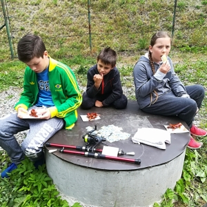 IMG_20190715_115653.jpg