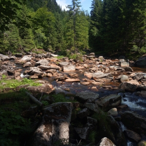 IMG_20190717_113947.jpg