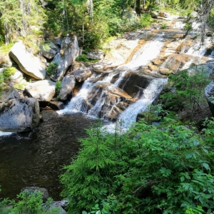 IMG_20190718_094959.jpg